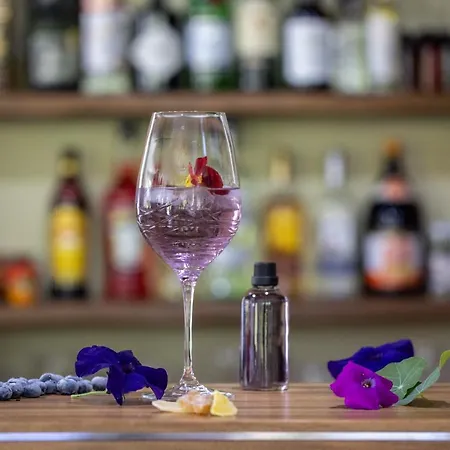 Hotel ξενοδοχειο παπαναγιωτου Neraïdochóri