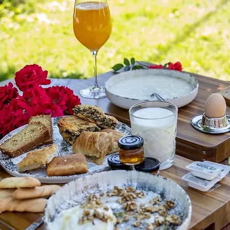 ξενοδοχειο παπαναγιωτου 2* Neraïdochóri