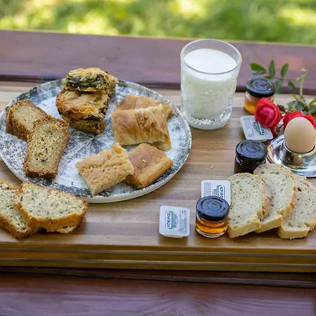 ξενοδοχειο παπαναγιωτου 酒店 Neraïdochóri