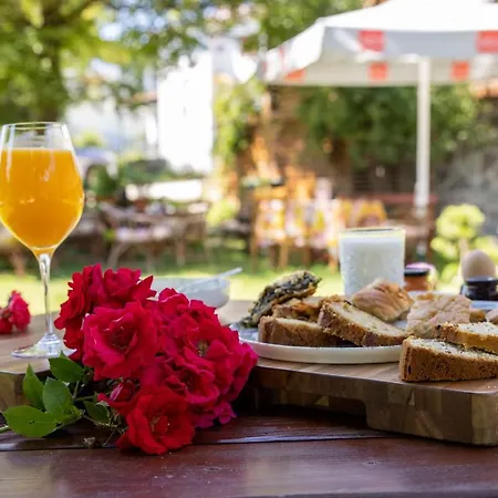 Hotel ξενοδοχειο παπαναγιωτου