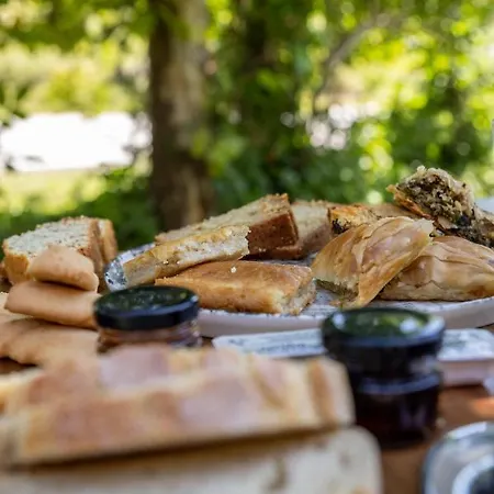 Hotel ξενοδοχειο παπαναγιωτου Neraïdochóri