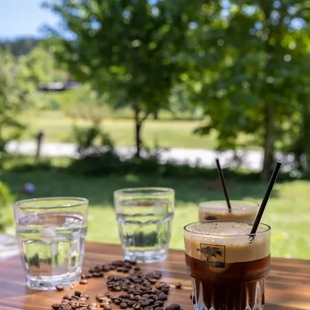 Hotel ξενοδοχειο παπαναγιωτου Neraïdochóri