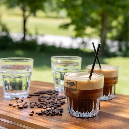 Hotel ξενοδοχειο παπαναγιωτου Neraïdochóri