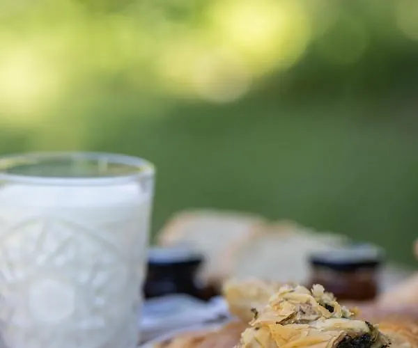 ξενοδοχειο παπαναγιωτου Нераидохори