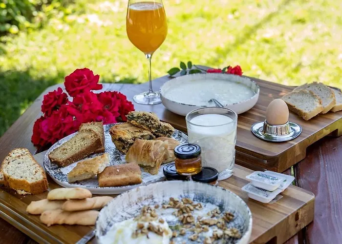 ξενοδοχειο παπαναγιωτου 2* Нераидохори