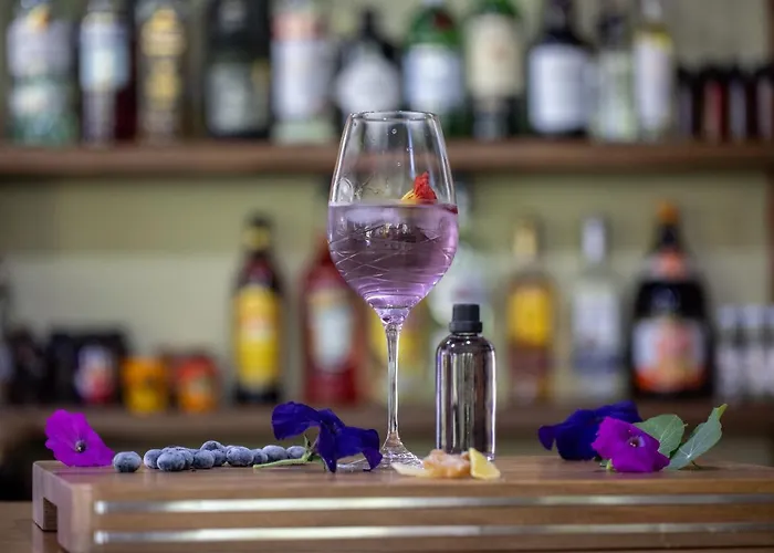 ξενοδοχειο παπαναγιωτου Нераидохори