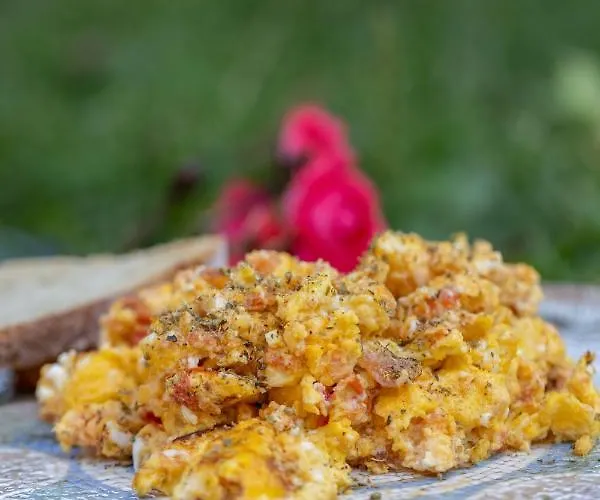 ξενοδοχειο παπαναγιωτου Отель Нераидохори