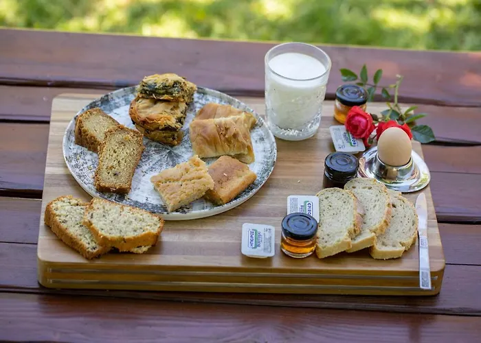 ξενοδοχειο παπαναγιωτου Отель Нераидохори