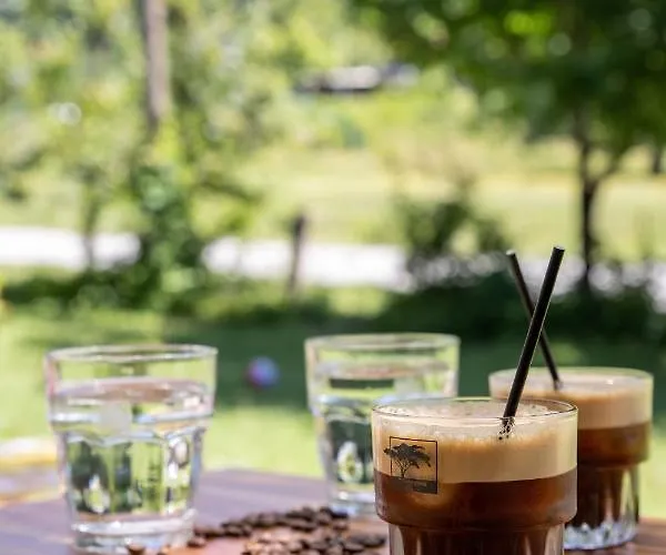 ξενοδοχειο παπαναγιωτου Отель 2*