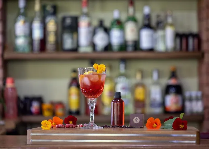 ξενοδοχειο παπαναγιωτου Нераидохори