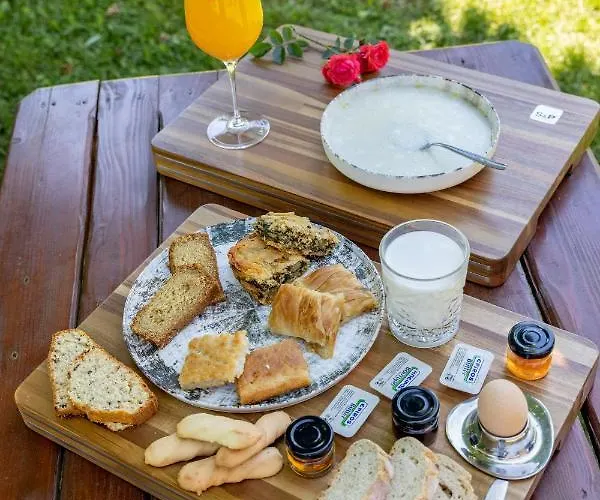 ξενοδοχειο παπαναγιωτου Нераидохори