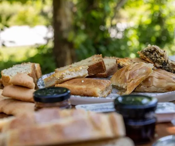 Отель ξενοδοχειο παπαναγιωτου Нераидохори